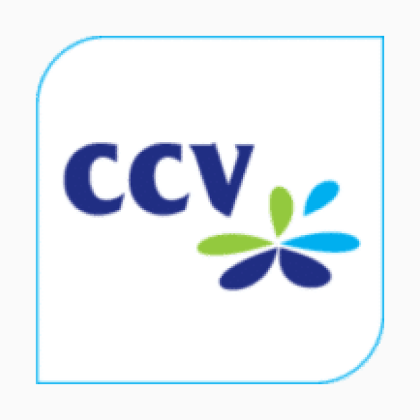 CCV Payment services